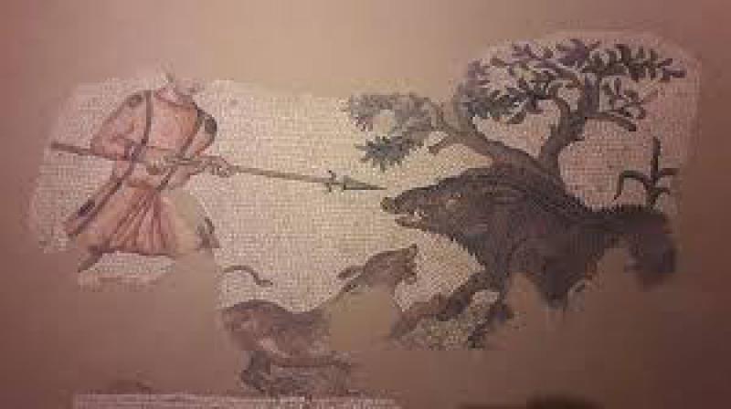 L'anima delle cose
