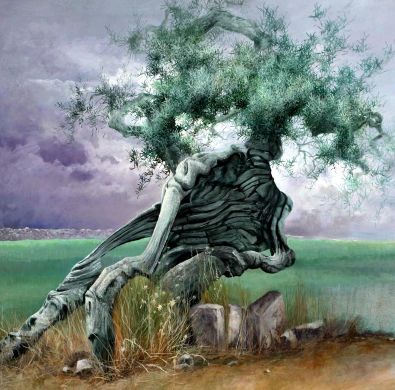Radici Terra Anima