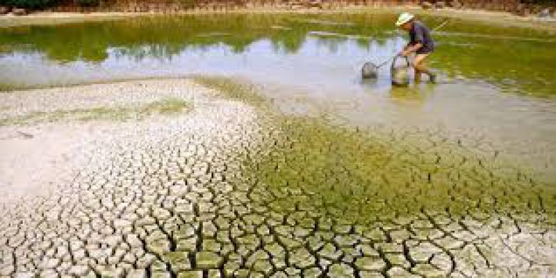 Cambiamenti climatici