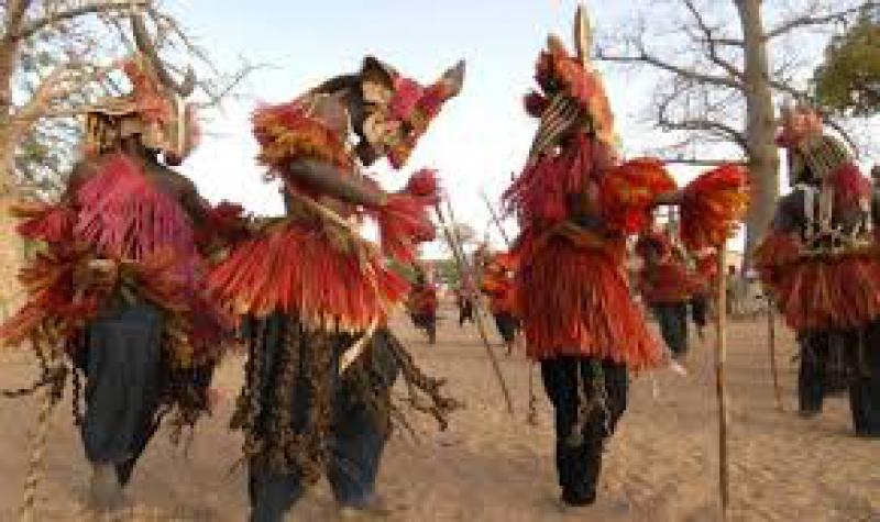Amata Africa