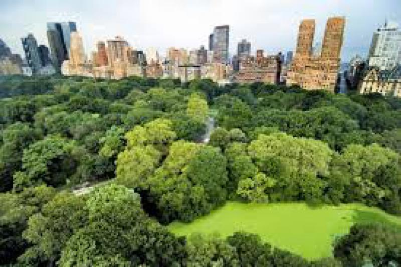Città e verde urbano