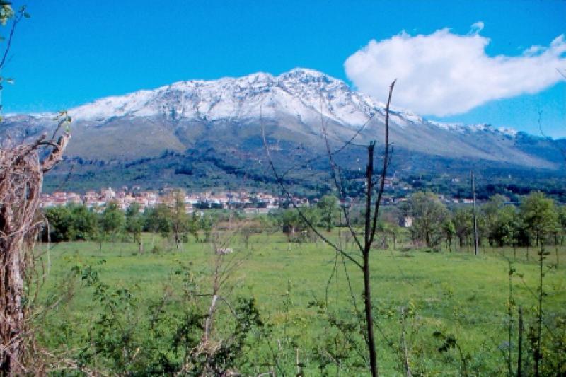 Paesaggio SI, eolico NO