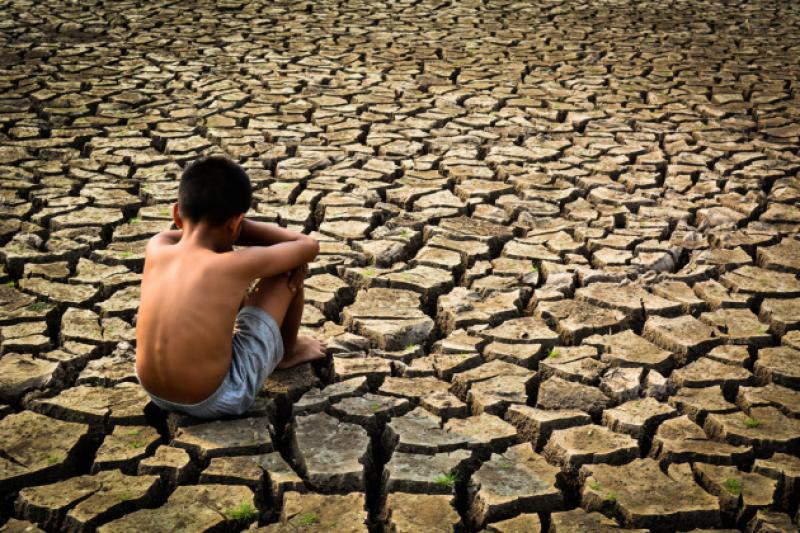 Cambiamenti climatici