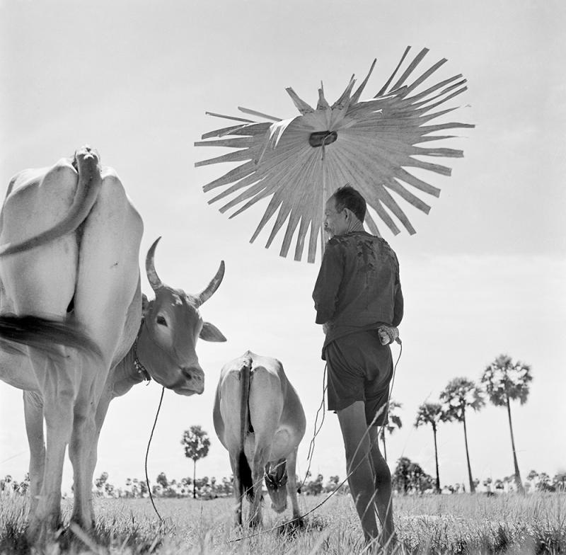 Werner Bischof Werner Bischof