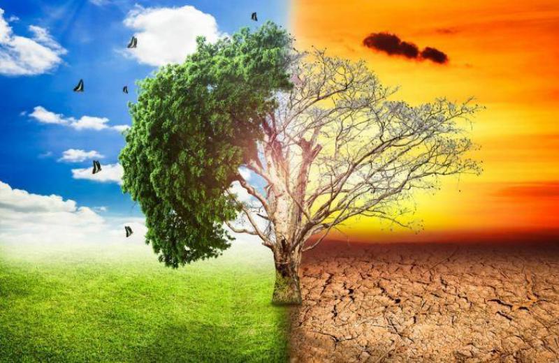Se il clima cambia