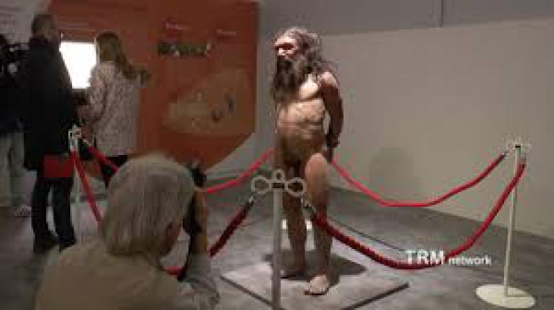 Un museo per l'uomo di Altamura