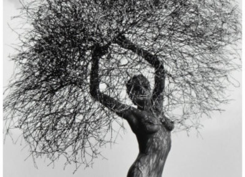 In equilibrio -  foto di Herb Ritts