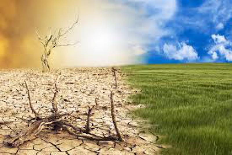 Desertificazione