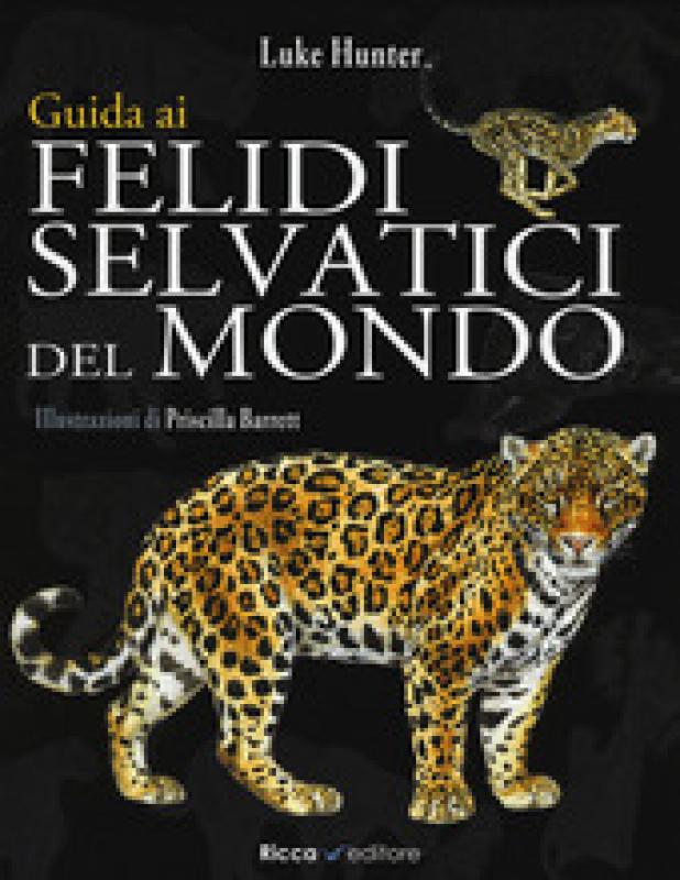 Felidi Selvatici del mondo