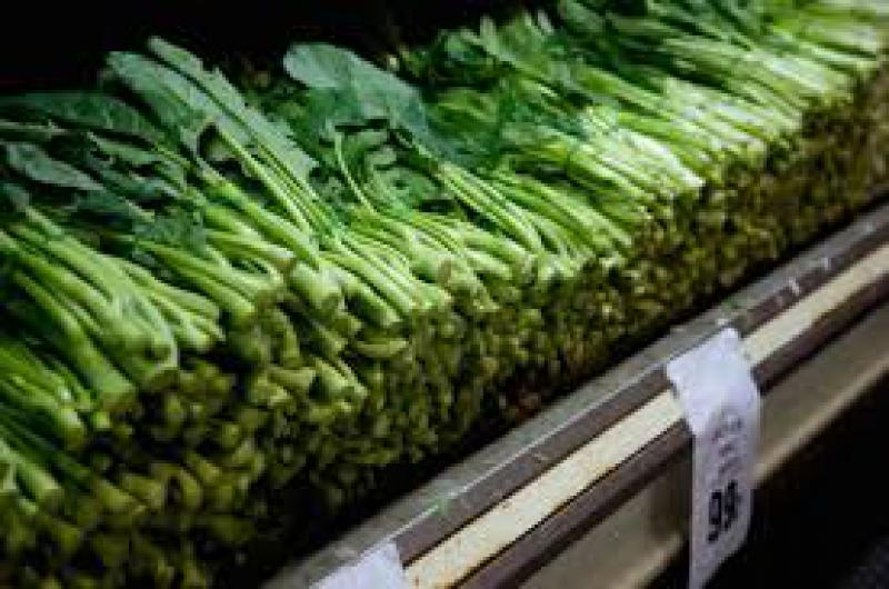 Cibo nocivo