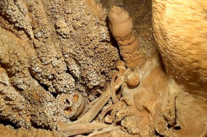 Un museo per l'uomo di Altamura