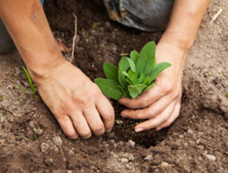 Agricoltura sociale