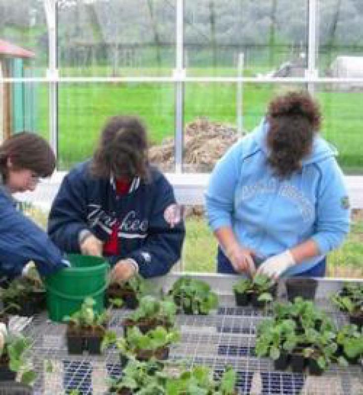 Agricoltura sociale
