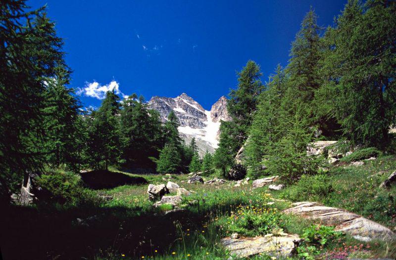 Il Parco del Gran Paradiso - 2