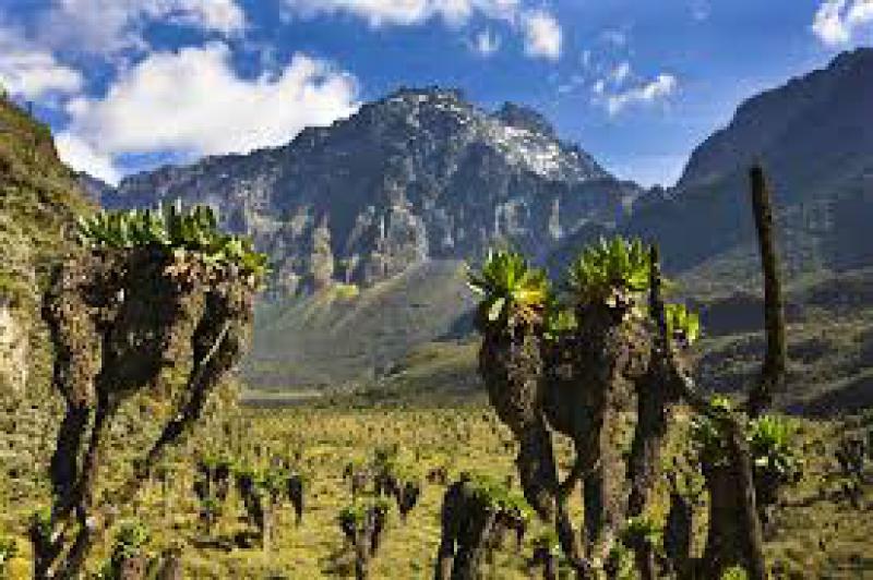 Sul favoloso Rwenzori