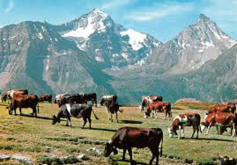 La montagna perduta
