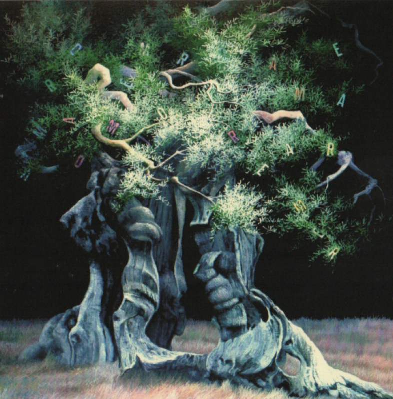 Radici Terra Anima