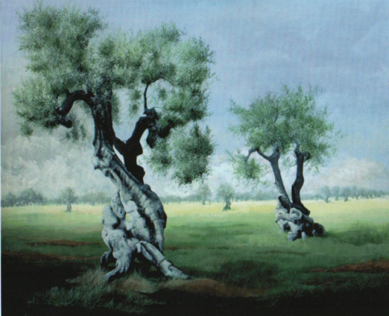 Radici Terra Anima