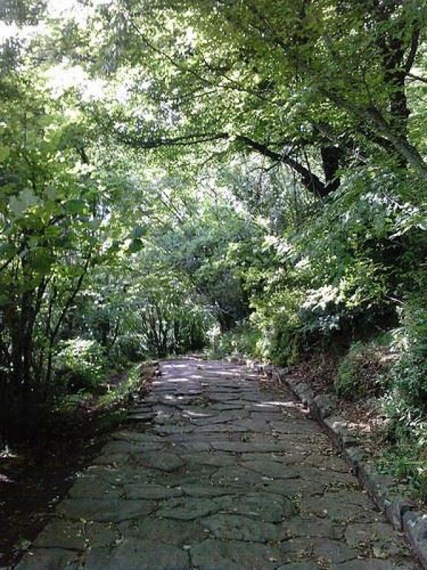 Silenzio sulla Via Sacra
