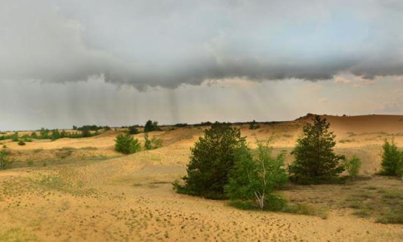 Desertificazione