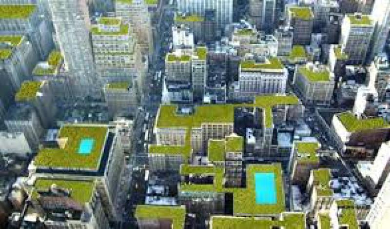 Città e verde urbano