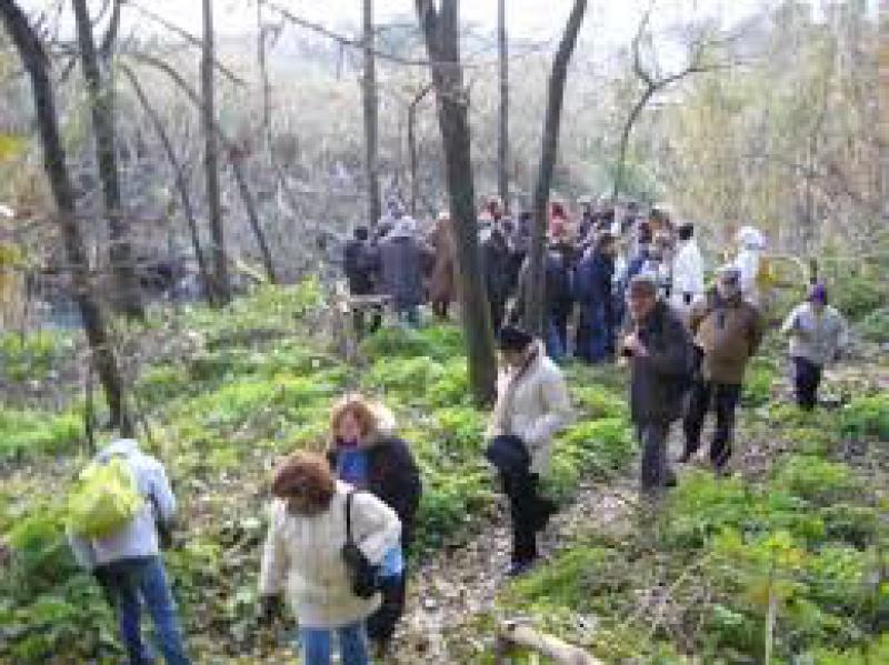 IL cammino nei Parchi 2015