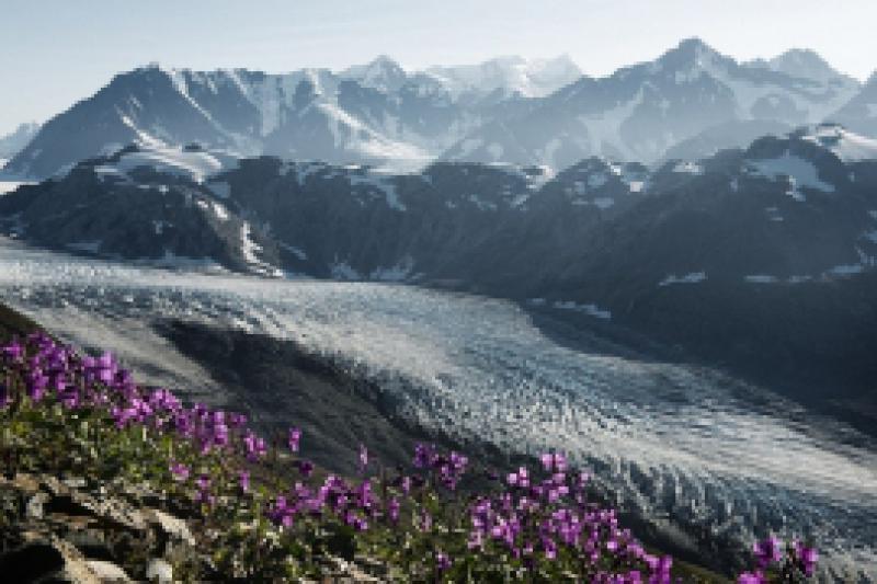 Spedizione Alpi 2020