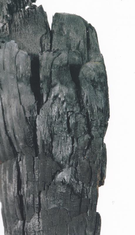 Cesare Benaglia