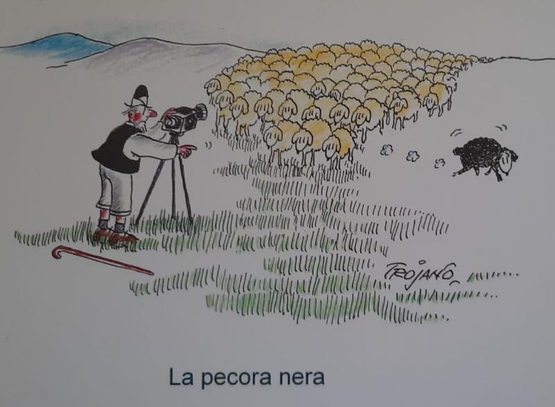Le pecore Le pecore
