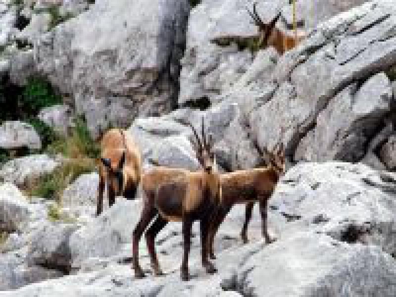 Appennino Parco d'Europa