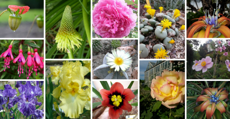Maggio all' Orto Botanico